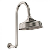 Fienza Lilian Goosenek Wall Arm and Rose - Brushed Nickel